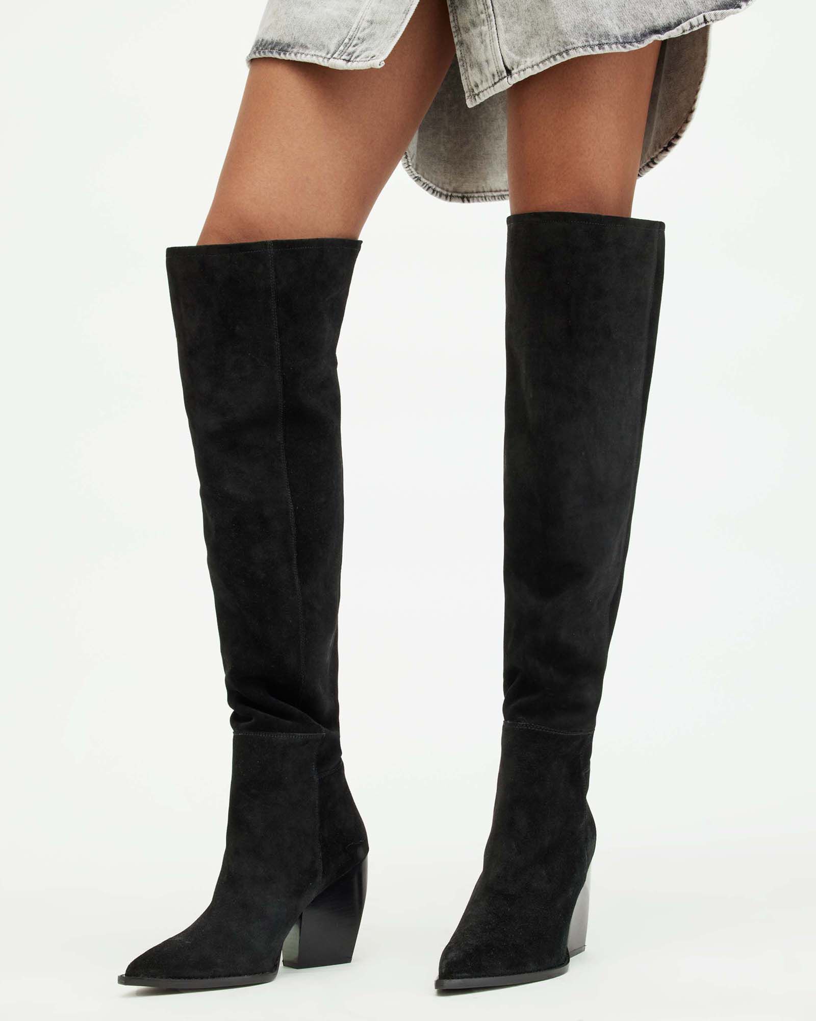Reina Knee High Pointed Suede Boots