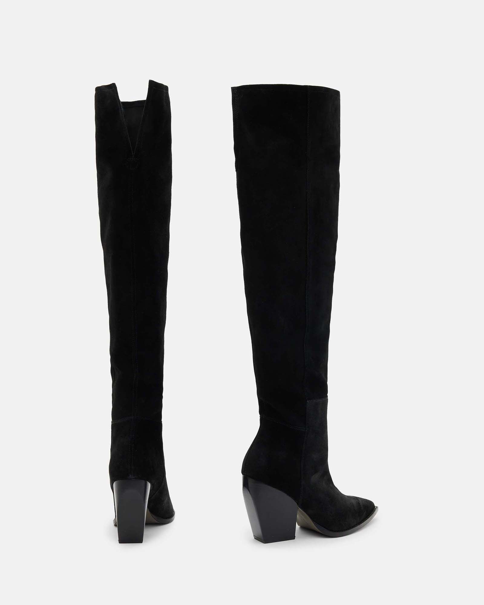 Reina Knee High Pointed Suede Boots