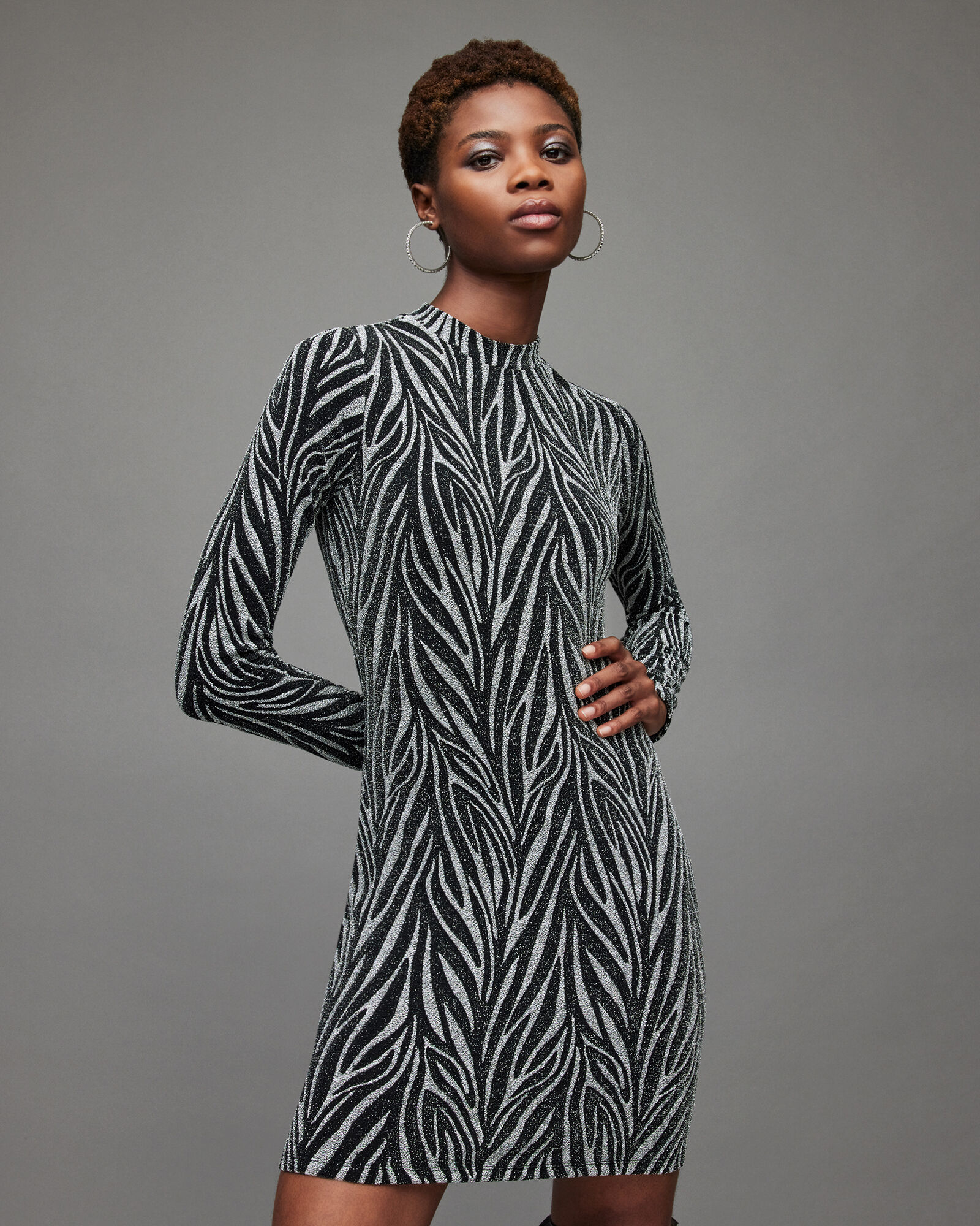 Amaya Zebra Dress